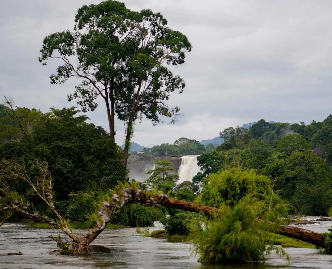 Riverok Resorts Athirappilly